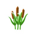 Reed icon.Isometric and 3D view.